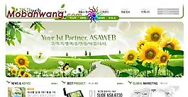 搭建門戶網站